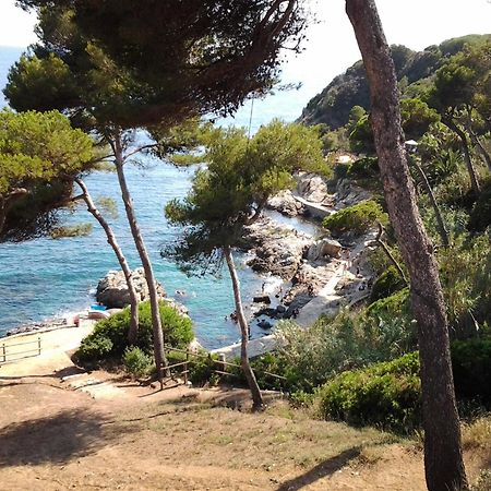 Apartmán Apartamento Sol- Fanals Lloret de Mar Exteriér fotografie
